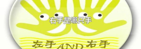 右手是哪只手