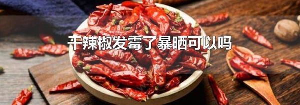 干辣椒发霉了暴晒可以吗