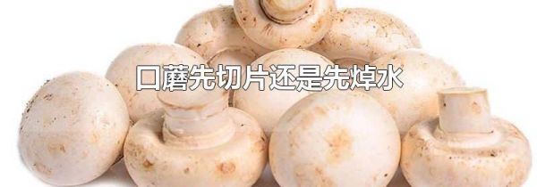 口蘑先切片还是先焯水