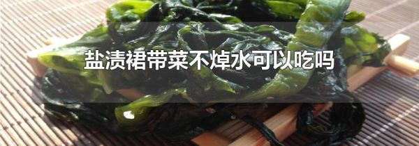 盐渍裙带菜不焯水可以吃吗