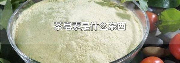 茶皂素是什么东西