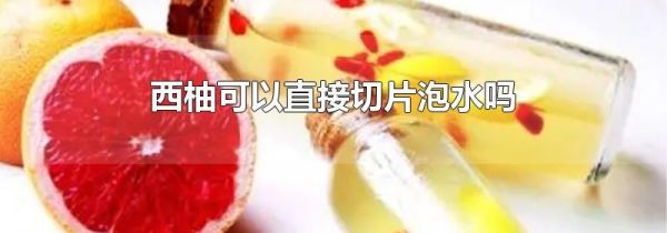 西柚可以直接切片泡水吗