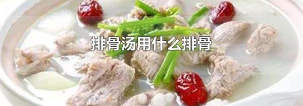 排骨汤用什么排骨