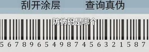 防伪码是哪个
