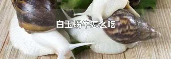 白玉蜗牛怎么吃