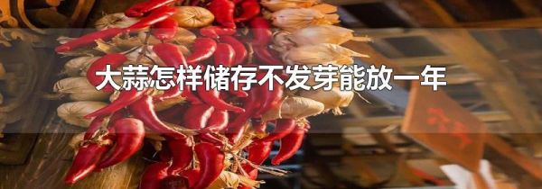 大蒜怎样储存不发芽能放一年