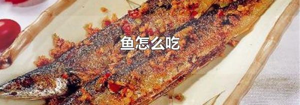 鱼怎么吃