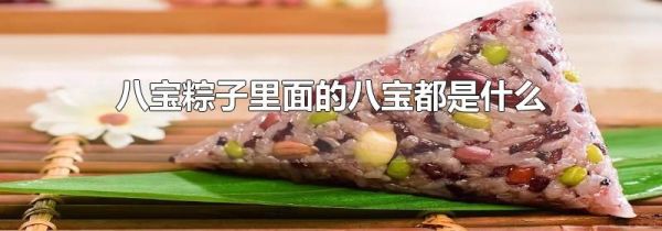 八宝粽子里面的八宝都是什么