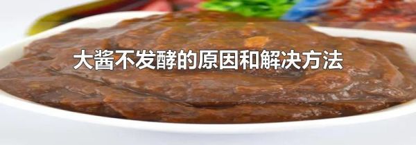 大酱不发酵的原因和解决方法