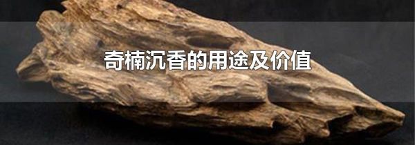 奇楠沉香的用途及价值