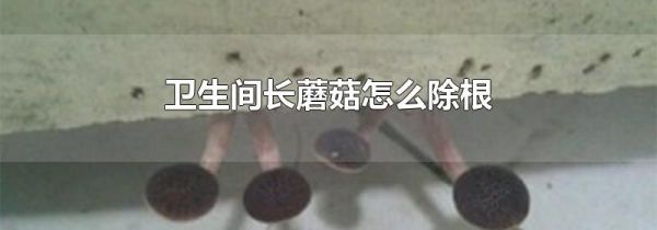 卫生间长蘑菇怎么除根