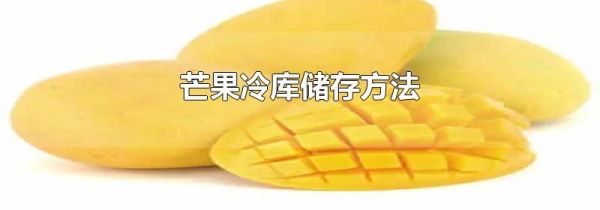 芒果冷库储存方法