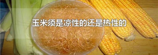 玉米须是凉性的还是热性的