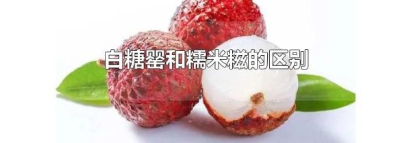 白糖罂和糯米糍的区别