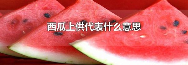 西瓜上供代表什么意思