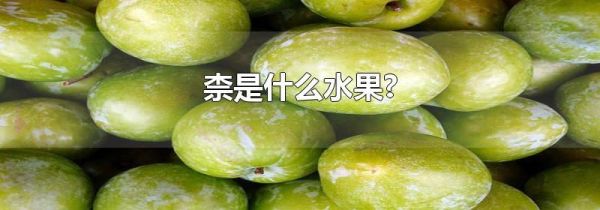 柰是什么水果?