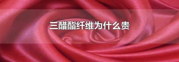 三醋酯纤维为什么贵