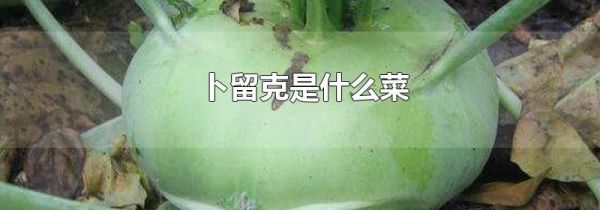 卜留克是什么菜