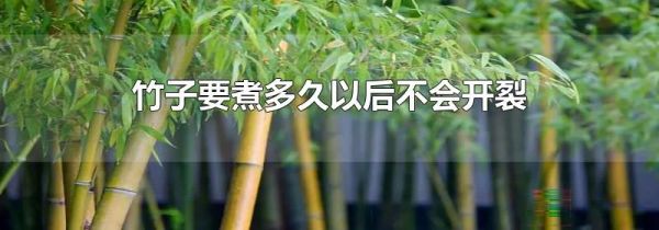 竹子要煮多久以后不会开裂