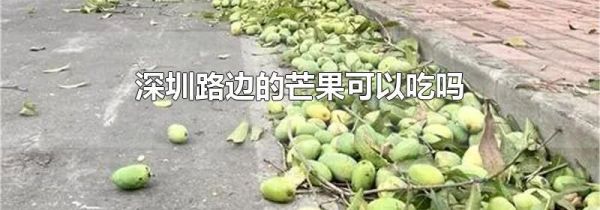 深圳路边的芒果可以吃吗