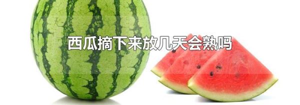 西瓜摘下来放几天会熟吗
