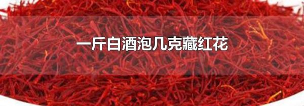 一斤白酒泡几克藏红花