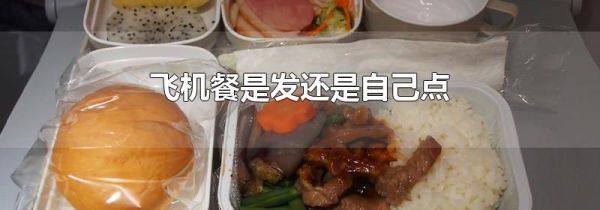 飞机餐是发还是自己点