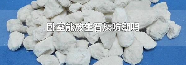 卧室能放生石灰防潮吗