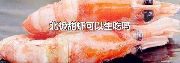 北极甜虾可以生吃吗