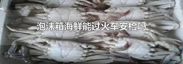 泡沫箱海鲜能过火车安检吗