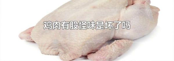 鸡肉有股怪味是坏了吗