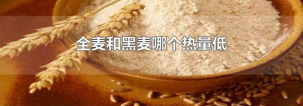 全麦和黑麦哪个热量低