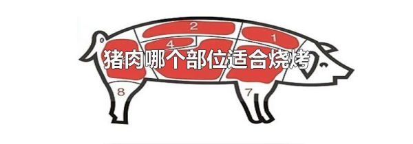 猪肉哪个部位适合烧烤