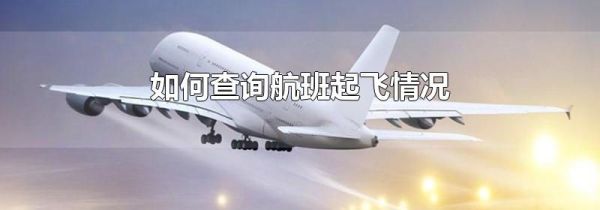 如何查询航班起飞情况