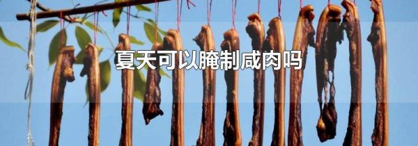 夏天可以腌制咸肉吗