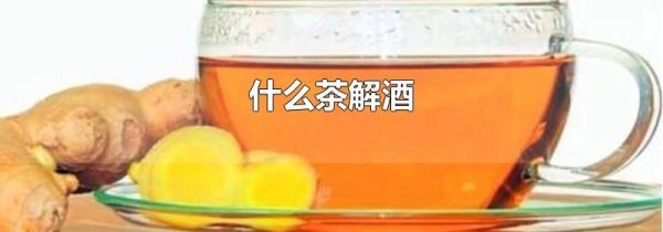 什么茶解酒