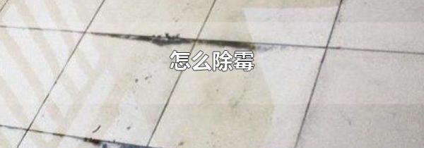 怎么除霉