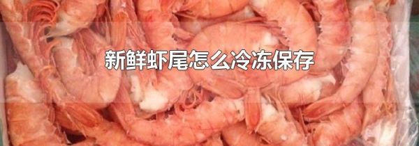 新鲜虾尾怎么冷冻保存