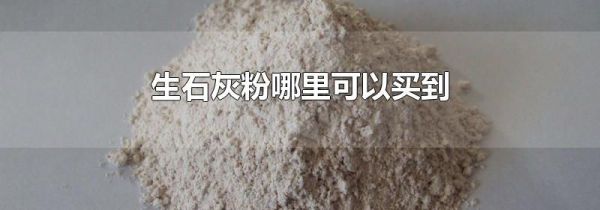 生石灰粉哪里可以买到
