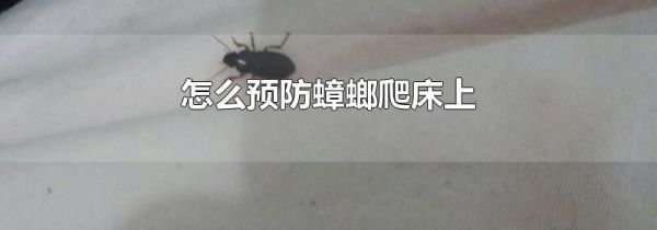 怎么预防蟑螂爬床上