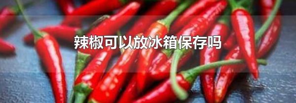 辣椒可以放冰箱保存吗