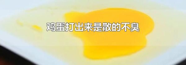 鸡蛋打出来是散的不臭