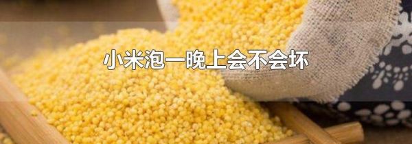 小米泡一晚上会不会坏