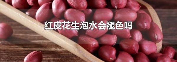 红皮花生泡水会褪色吗