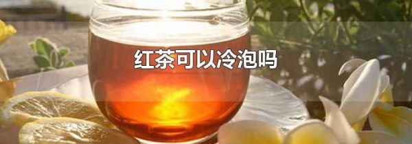 红茶可以冷泡吗