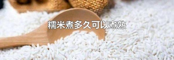 糯米煮多久可以煮熟