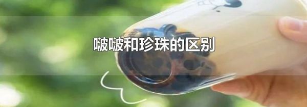 啵啵和珍珠的区别