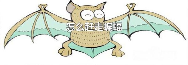 怎么赶走蝙蝠