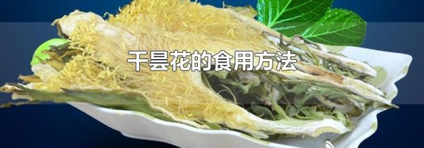 干昙花的食用方法