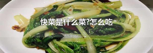 快菜是什么菜?怎么吃